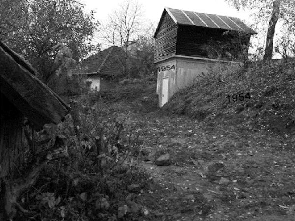 50plus2004wasserbehalter