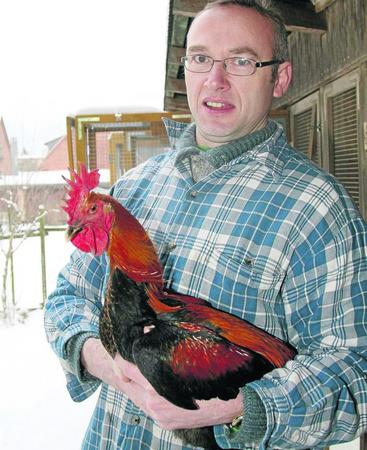 287773059 344 onlineBild