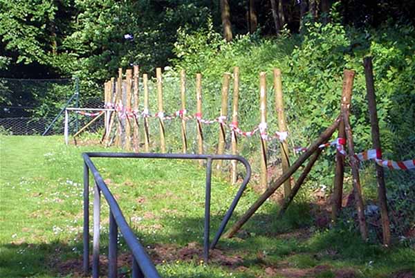 Wildschweine 002 klein