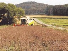 593355292 1873fc25 49da 4577 9e0c 839ecb052bdb iGY7J5h5k05