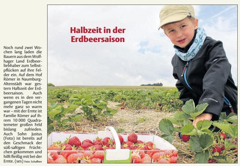 Ausschnitt Seite 1 72993.0