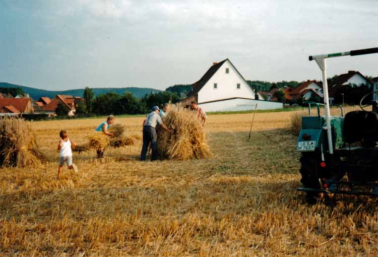Roggenernte 1997 Reuter 1