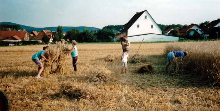 Roggenernte 1997 Reuter 2