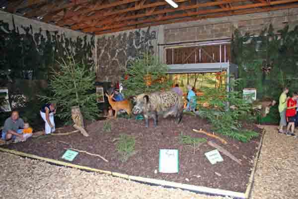 db 09 07 2006Festzug1 0201