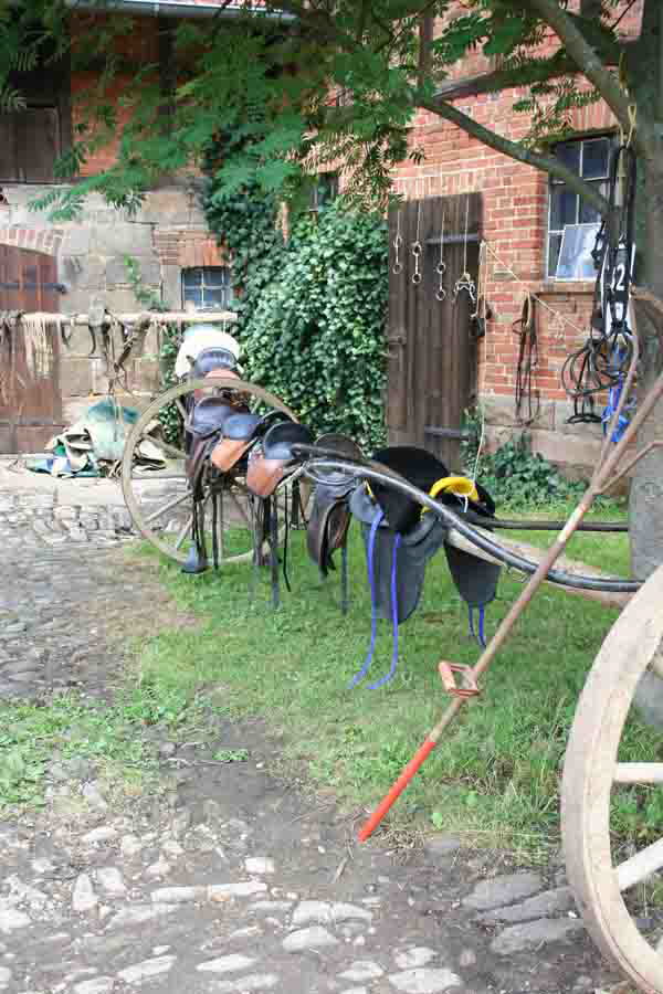 db 09 07 2006Festzug1 0251