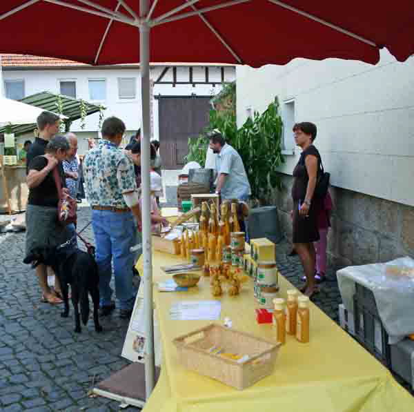 db 09 07 2006Festzug1 0421