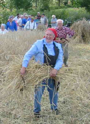 db Kornernte020805rNET1