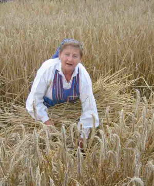 db Kornernte020805sNET1