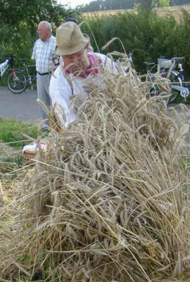 db Kornernte020805uNET1