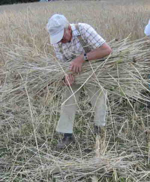 db Kornernte020805vNET1