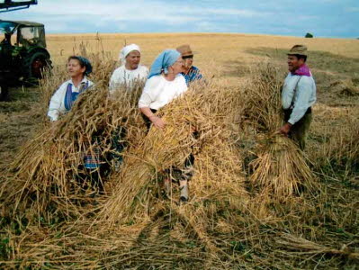 db Kornernte 2005 Reuter 21