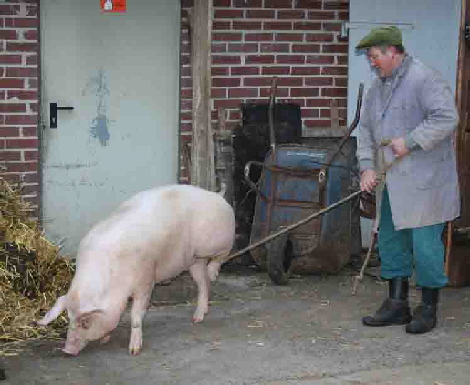 25 02 2006Schlachtefest 007