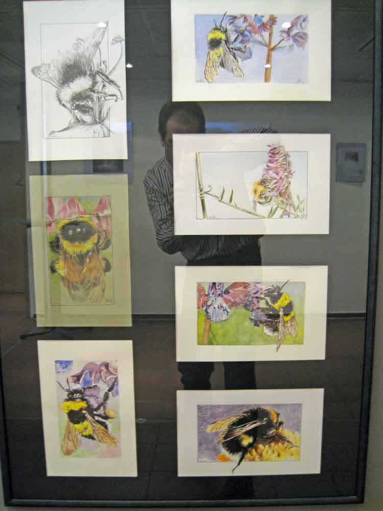 db 2008 04 12 0471