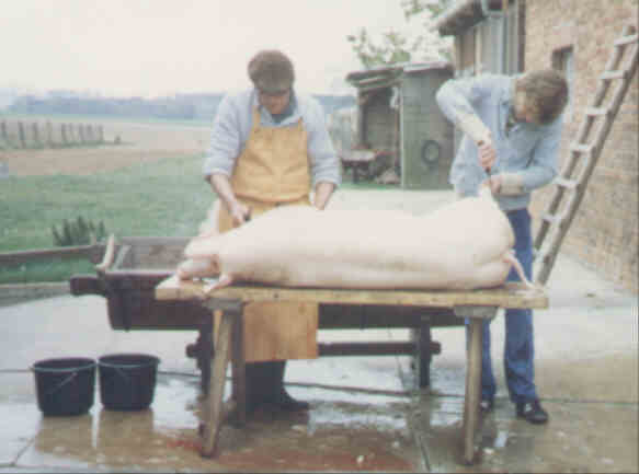schweinsauber