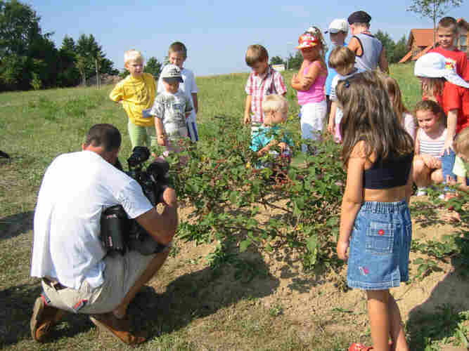 db HR3036naschgarten71