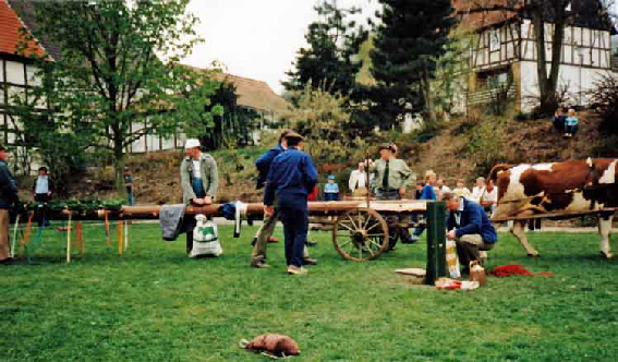 Maibaum 151987 Reuter