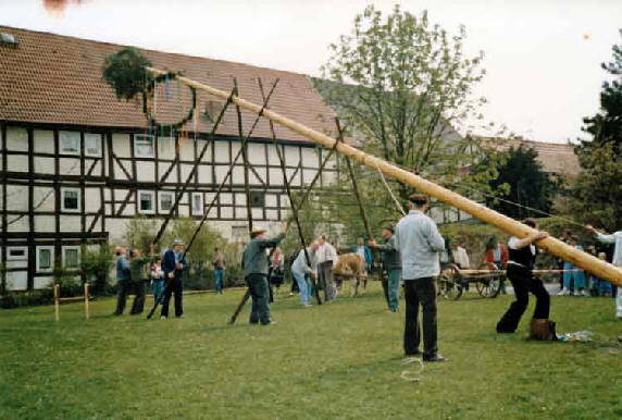 Maibaum 151988 Reuter 2